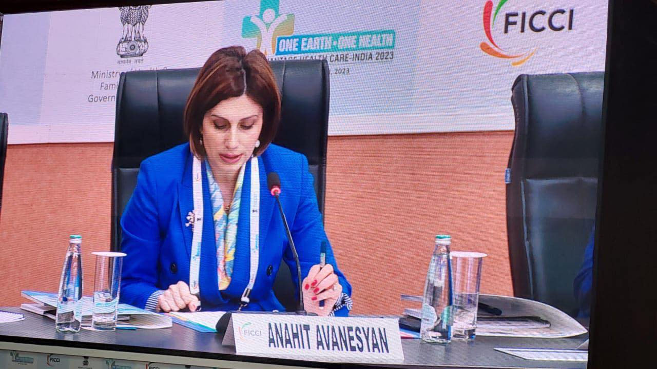 Հայաստանը ցանկանում է ամրապնդել հարաբերությունները Հնդկաստանի հետ առողջապահության ոլորտում. Անահիտ Ավանեսյան, ՀՀ առողջապահության նախարար